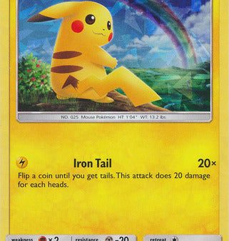 Pikachu (28 73) (Cracked Ice Holo) [Miscellaneous Cards] Online now